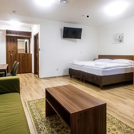 Hotel Old Town Hall - Stara Radnice - Ratusz Staromiejski -0,5km From Highway Bohumín