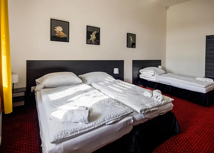 Old Town Hall - Stara Radnice - Ratusz Staromiejski -0,5km From Highway 3*